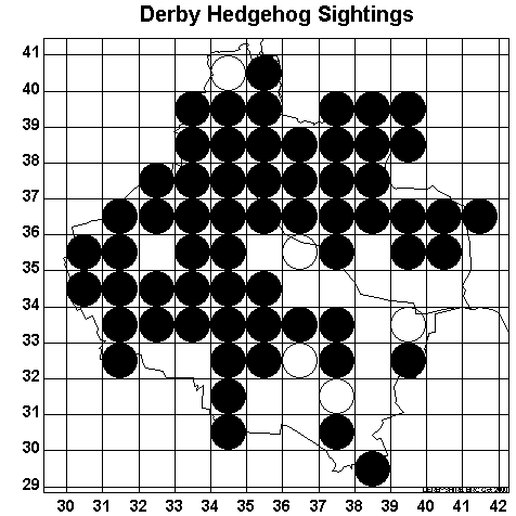 Derby hedgehog sightings map